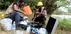 Establishment of a Baseline Database of the Environmental Component of the CLSG Project Area in Sierra Leone, TRANSCO Cote D’Ivoire-Liberia-Sierra Leone-Guinea (CLSG), Sierra Leone.